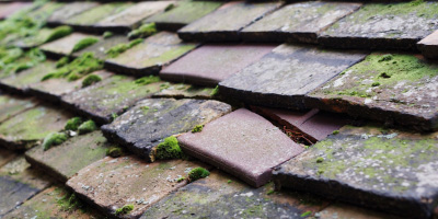 Erbington roof repair costs
